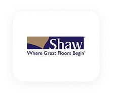 Background+Border+Shadow-6