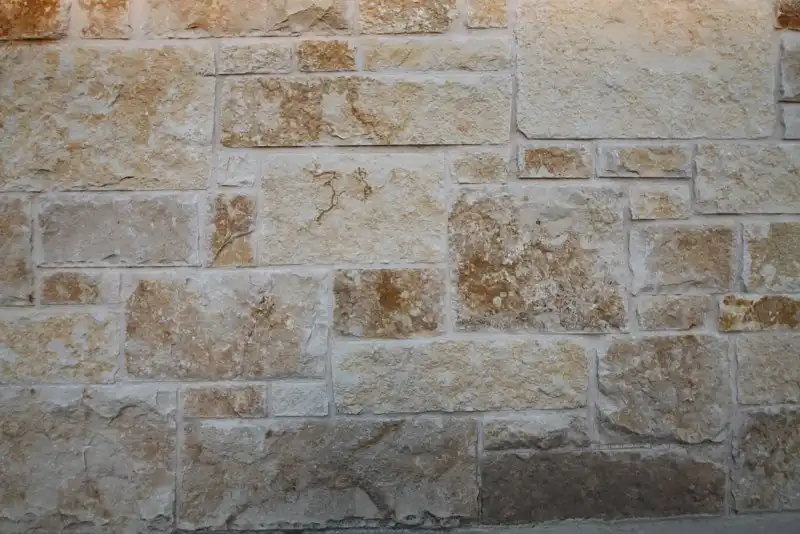 Austin-Brown-4-12-2_1