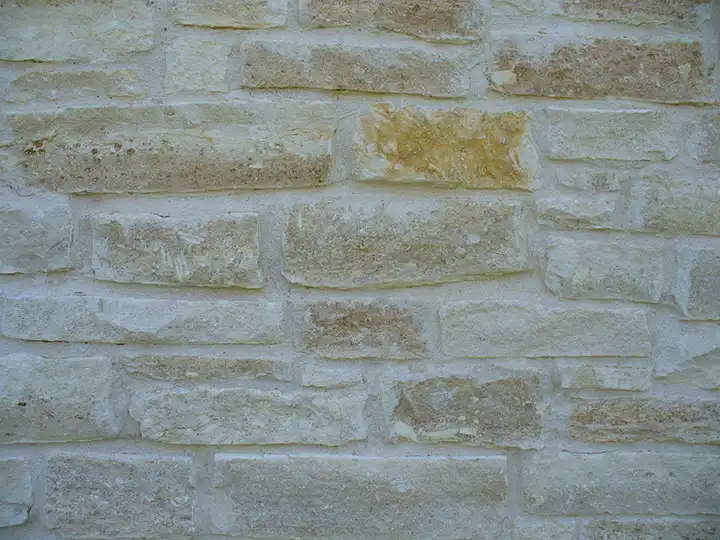 Rattlesnake-Chopped-Close-Up2