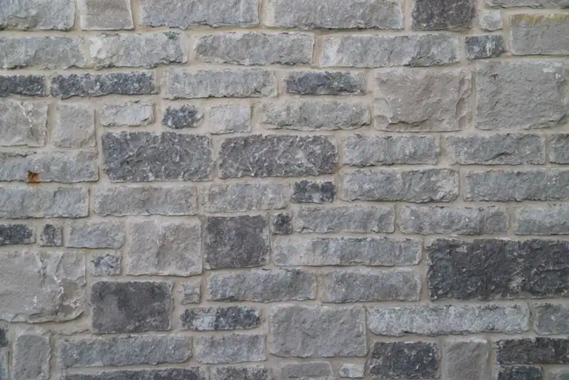 Silvermist-Regular-Chop-2-2