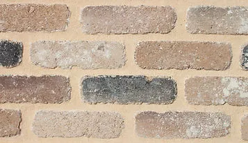 Vintage Tacoma, 273-AT