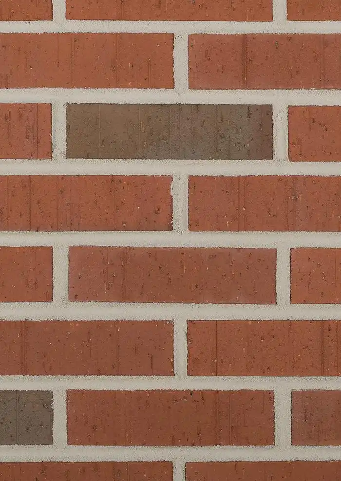 texas_flashed_wirecut_web_image