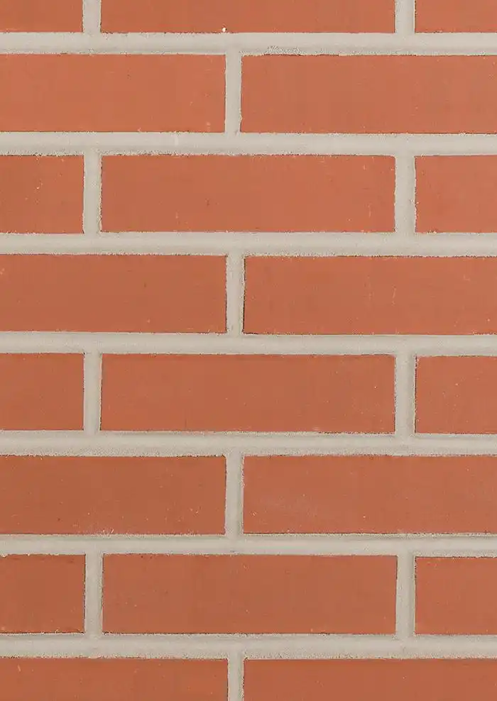 texas_red_common_web_image_0