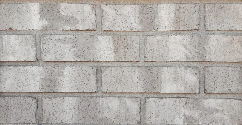 d5e46f4120c491c4889e5645aee14df2